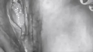 My Output Mixed Sex Vids 4 - Featuring Many Ladies with an increment of Men